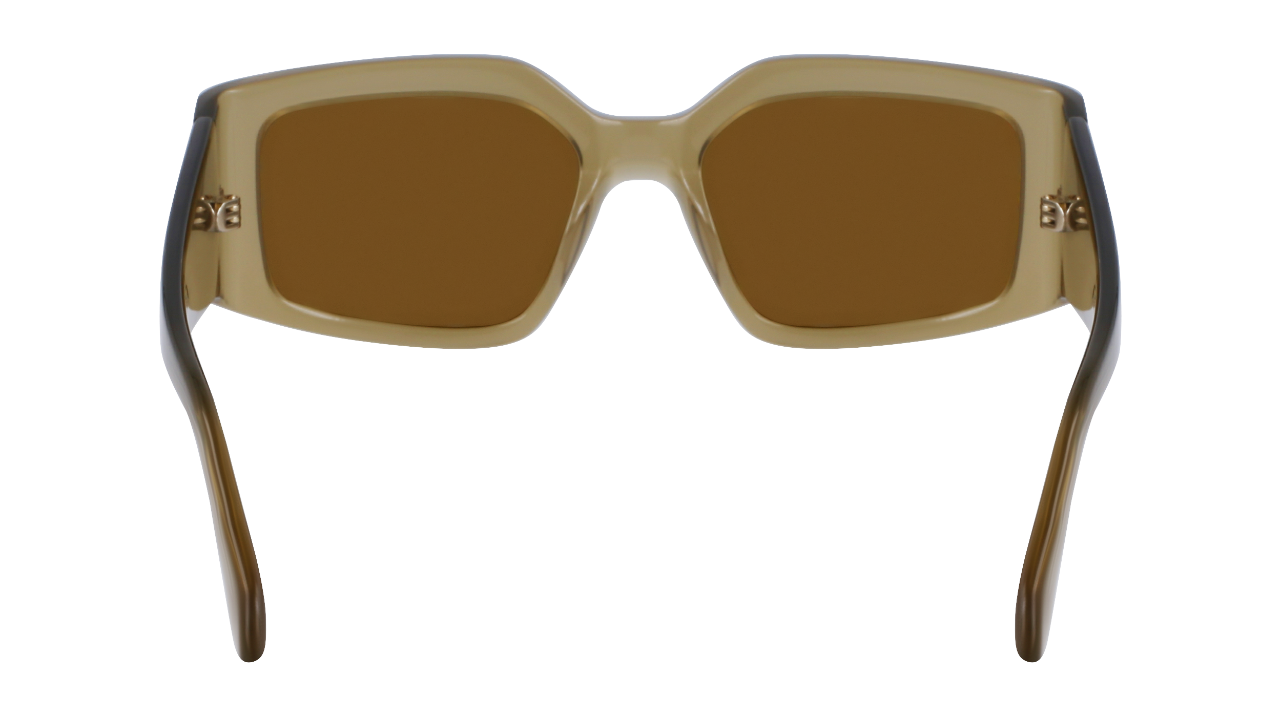 SF1101S 330 Occhiali da sole Ferragamo 10