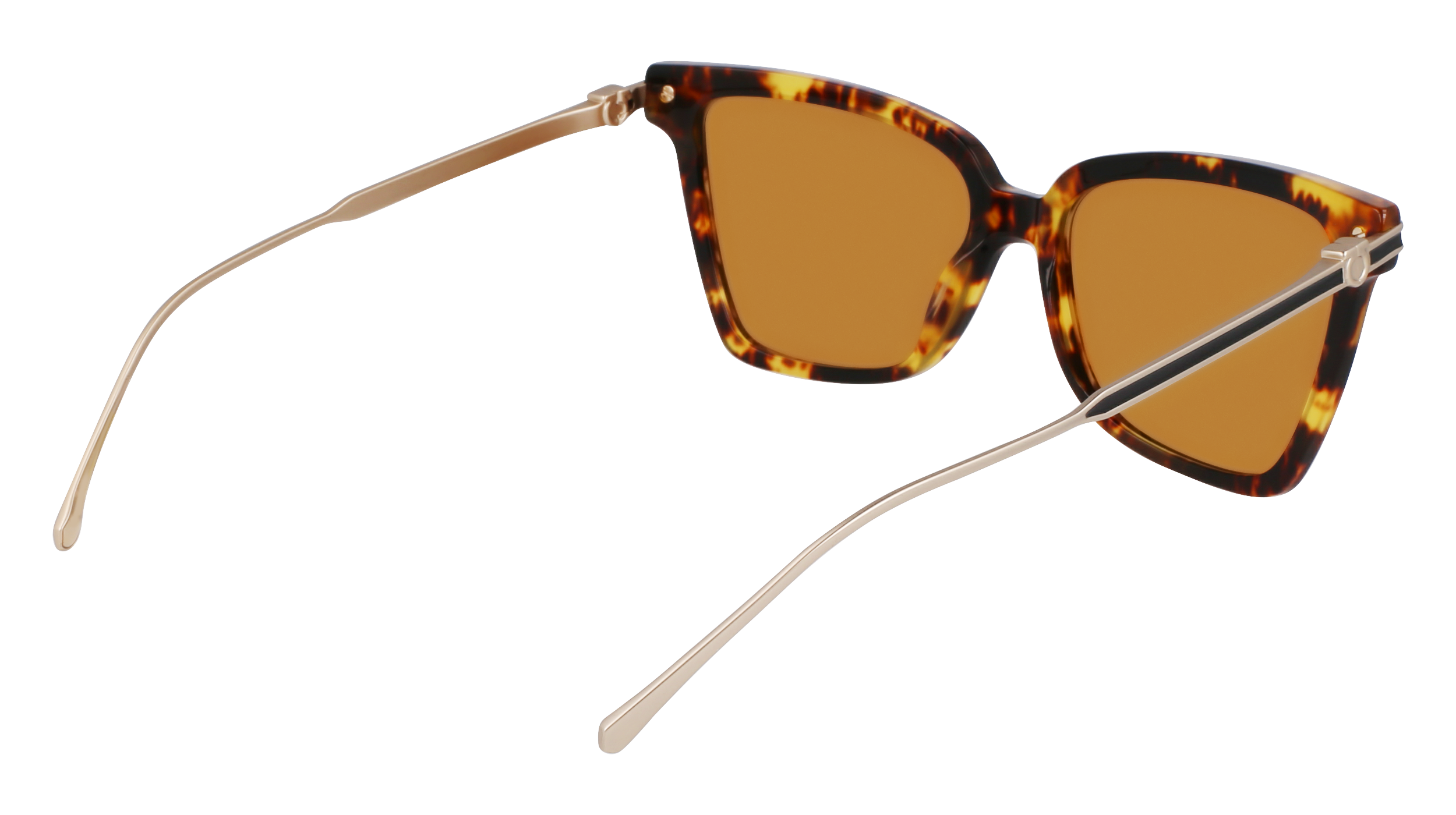 SF2036S 242 Occhiali da sole Ferragamo 5