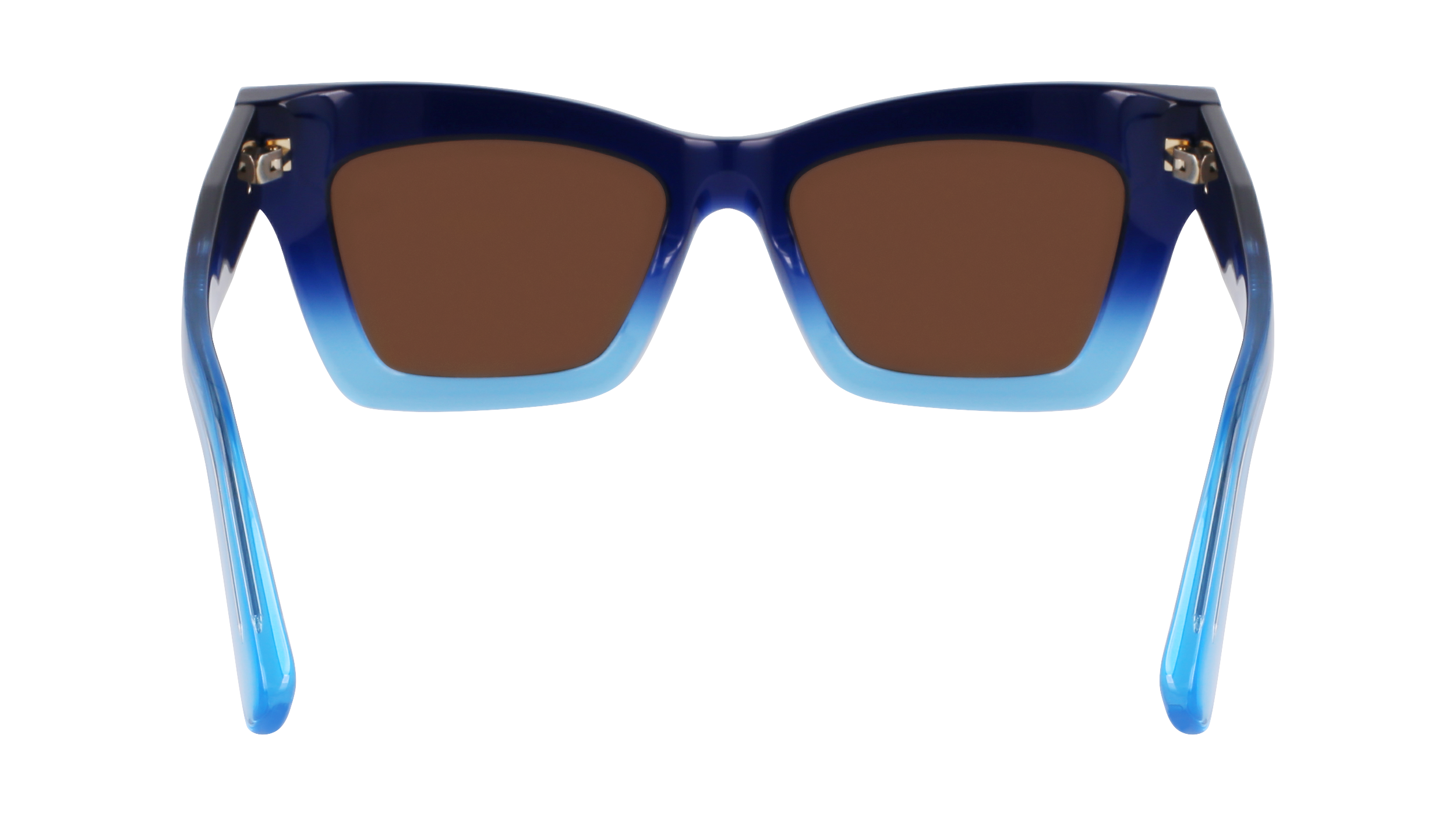SF2031S 415 Occhiali da sole Ferragamo 6