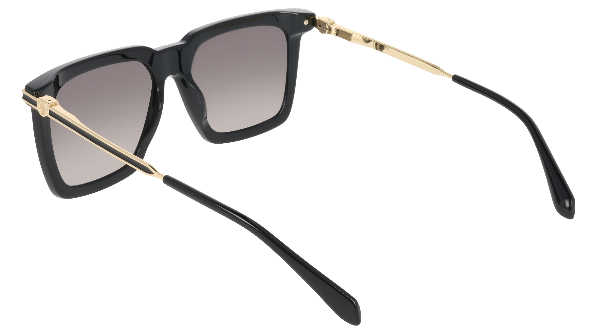 SF2077SLBI 1 Occhiali da sole Ferragamo 4