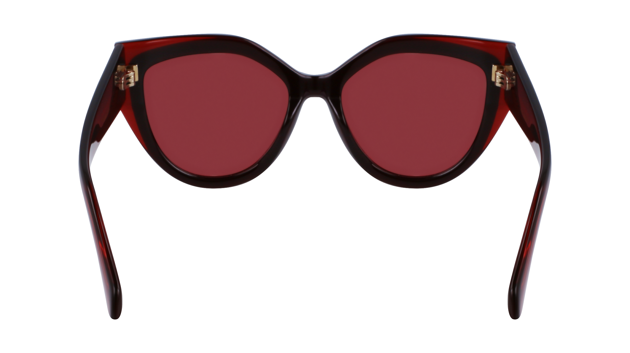 SF2004S 618 Occhiali da sole Ferragamo 6