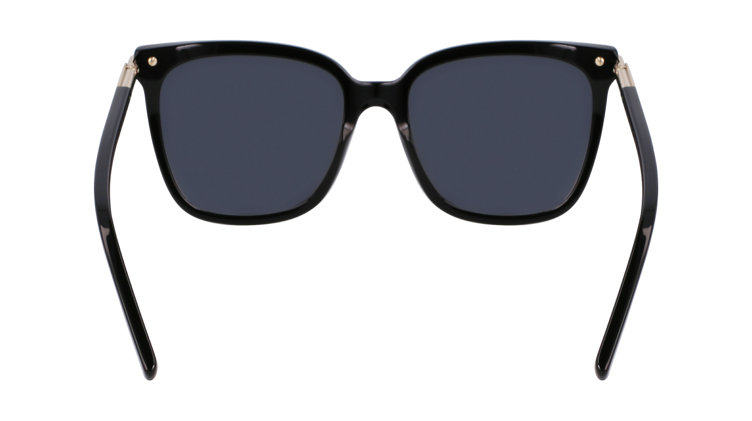 SF2037S 001 Occhiali da sole Ferragamo 6