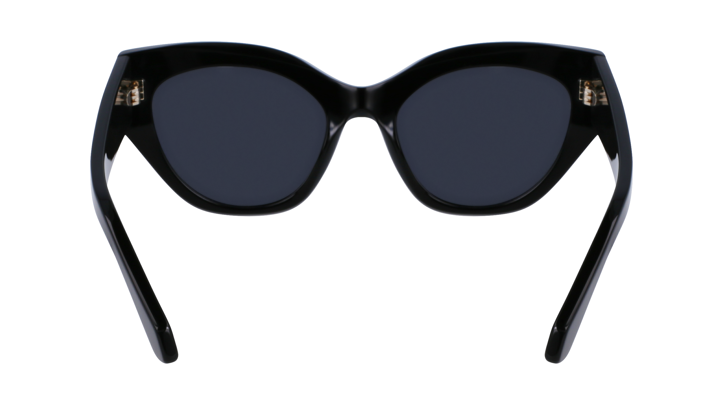 SF1107S 001 Occhiali da sole Ferragamo 9