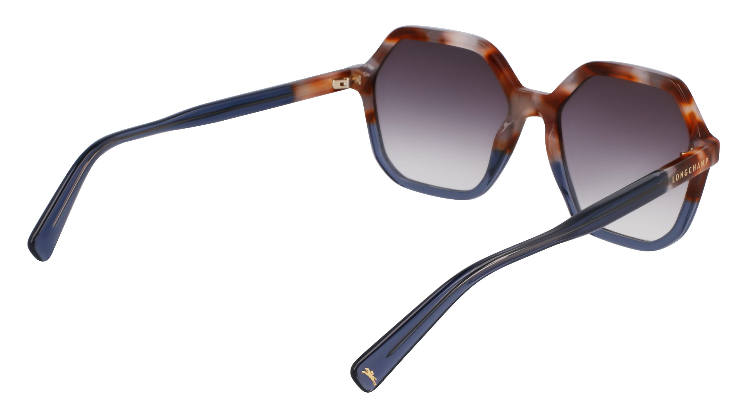 LO760S 261 Occhiali da sole LONGCHAMP 6