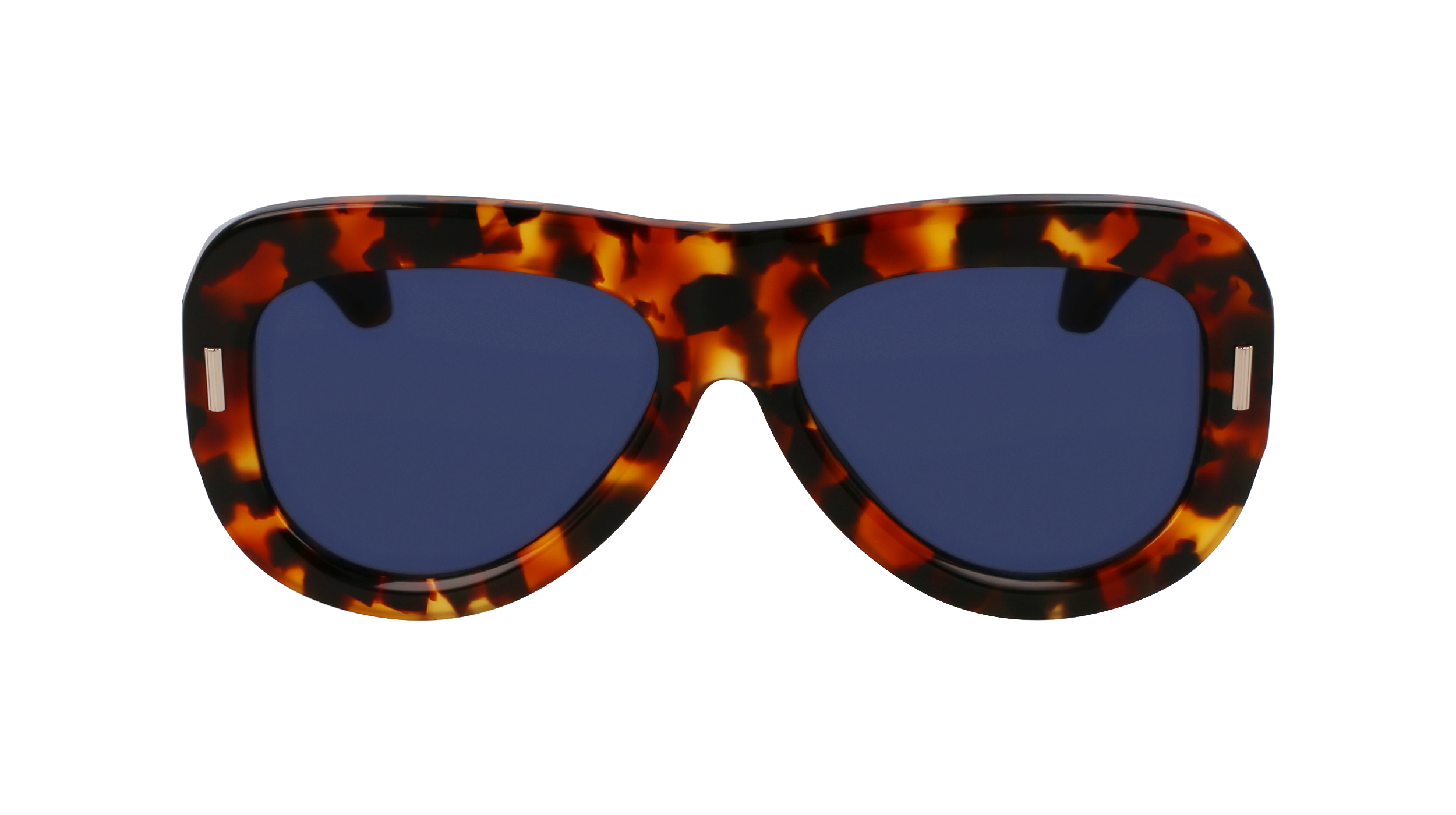 SF2029SE 240 Occhiali da sole Ferragamo 2