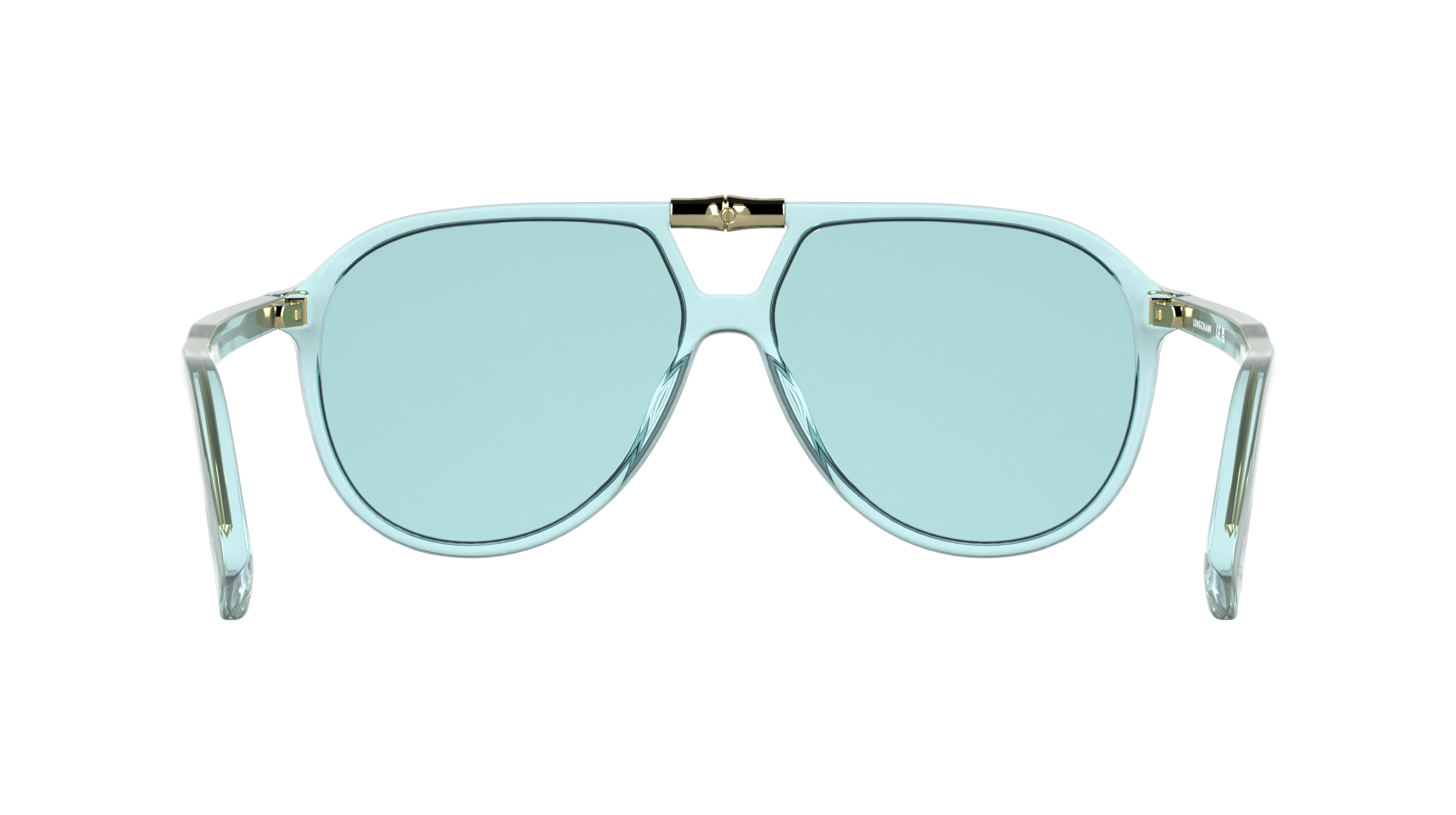 LONGCHAMP LO800S 419
