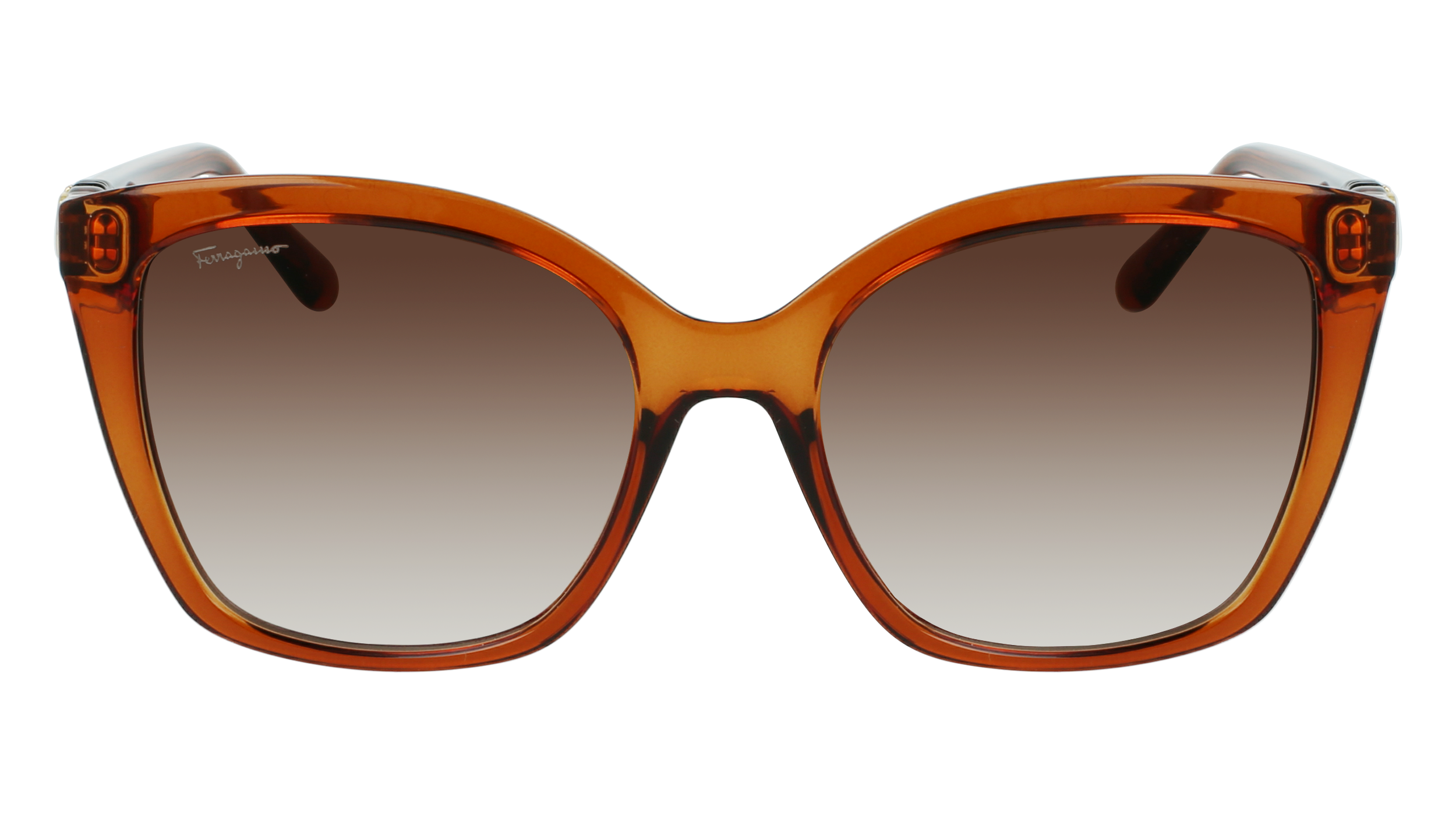 SF1026S 261 Occhiali da sole Ferragamo 2