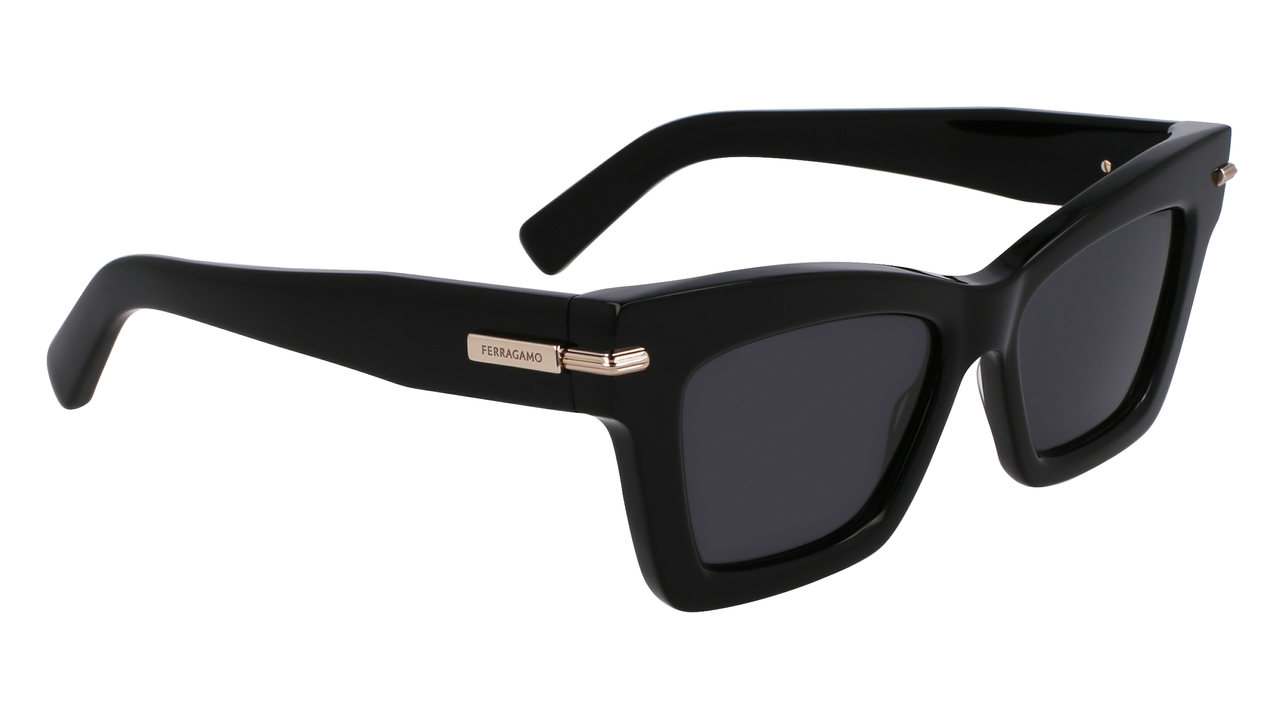 SF2031S 001 Occhiali da sole Ferragamo 8
