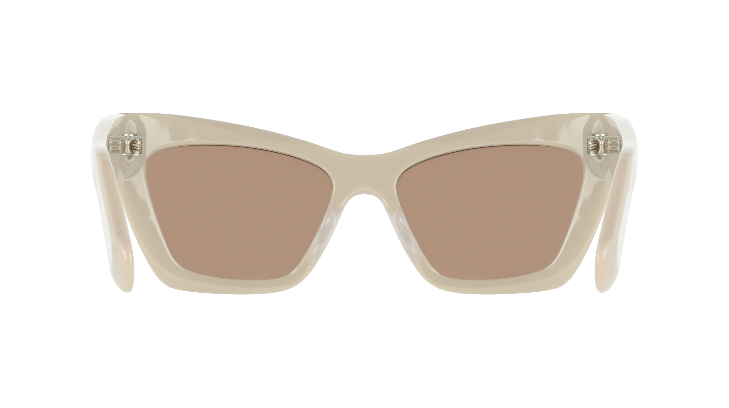 SF929SN 259 Occhiali da sole Ferragamo 5