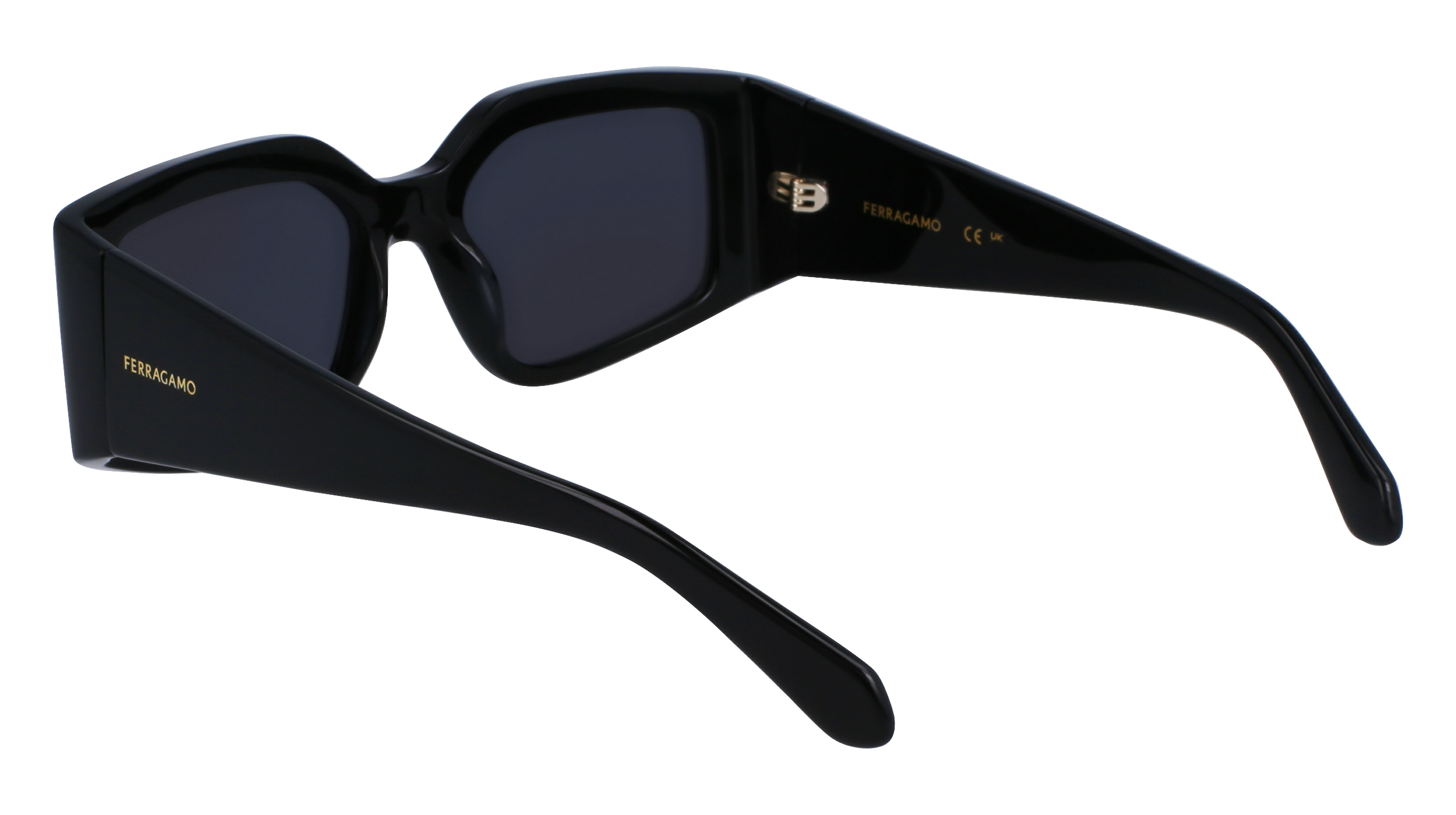 SF1101S 001 Occhiali da sole Ferragamo 4