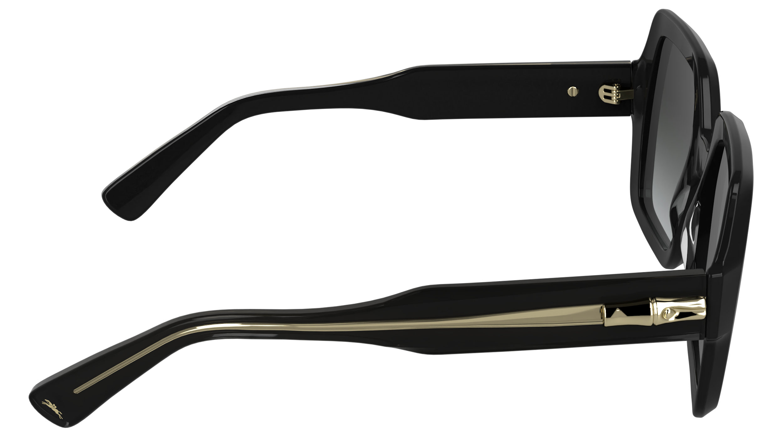 LONGCHAMP LO790S 001