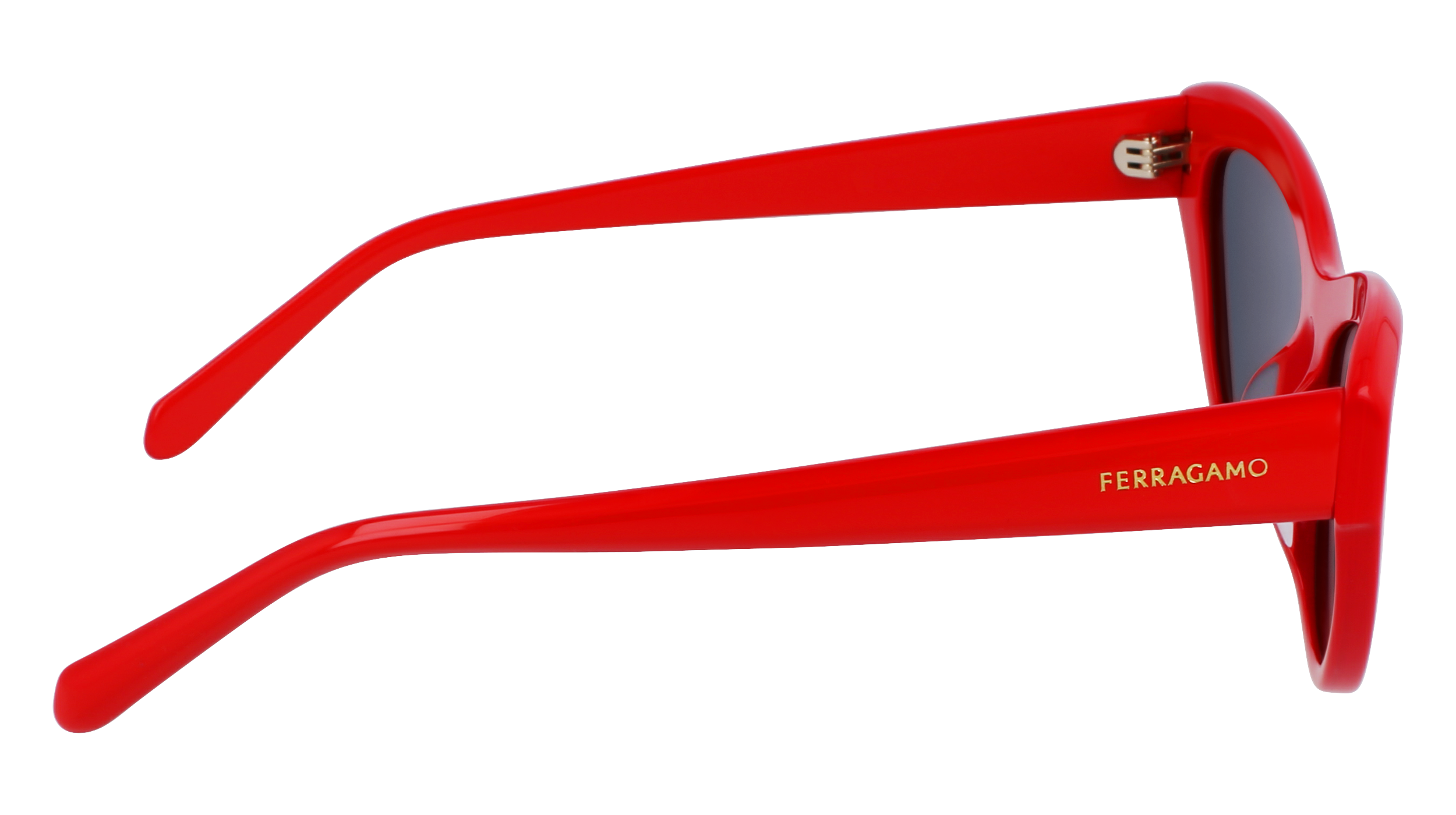 SF1103S 600 Occhiali da sole Ferragamo 7