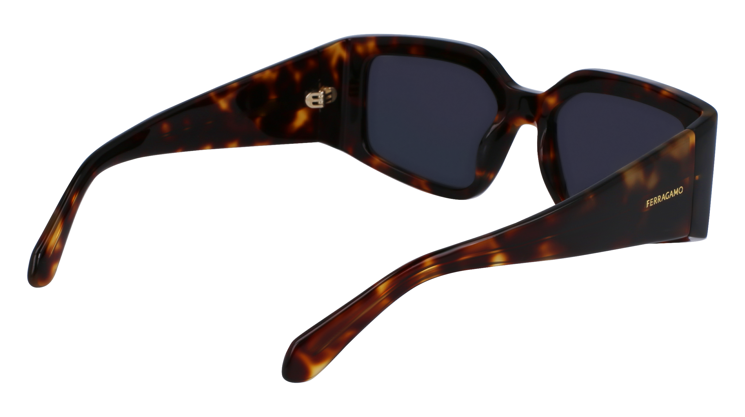 SF1101S 242 Occhiali da sole Ferragamo 5
