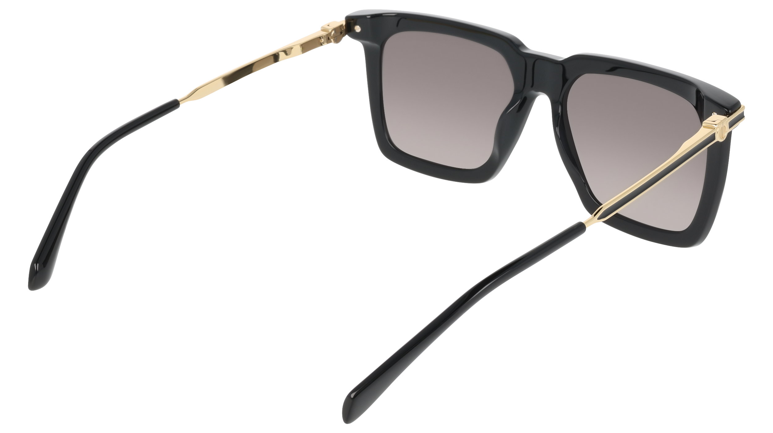 SF2077SLBI 1 Occhiali da sole Ferragamo 6