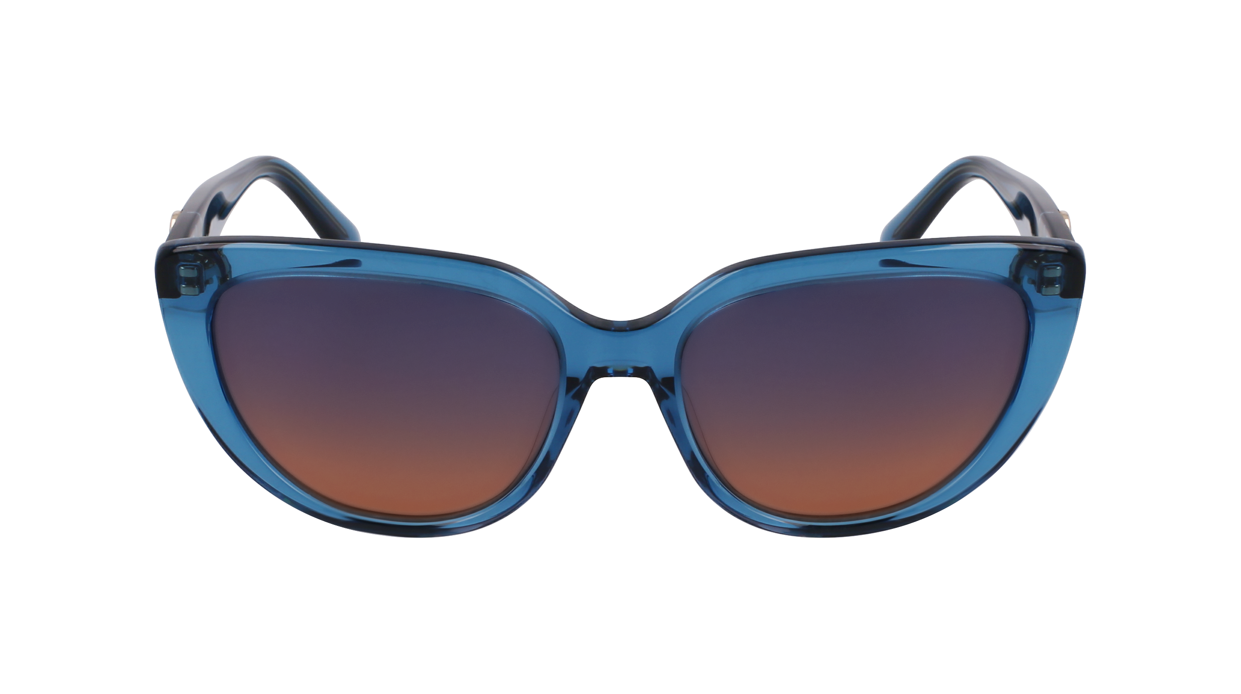 LO766S 400 Occhiali da sole LONGCHAMP 2