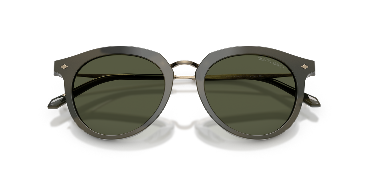 Giorgio Armani AR6191 646852