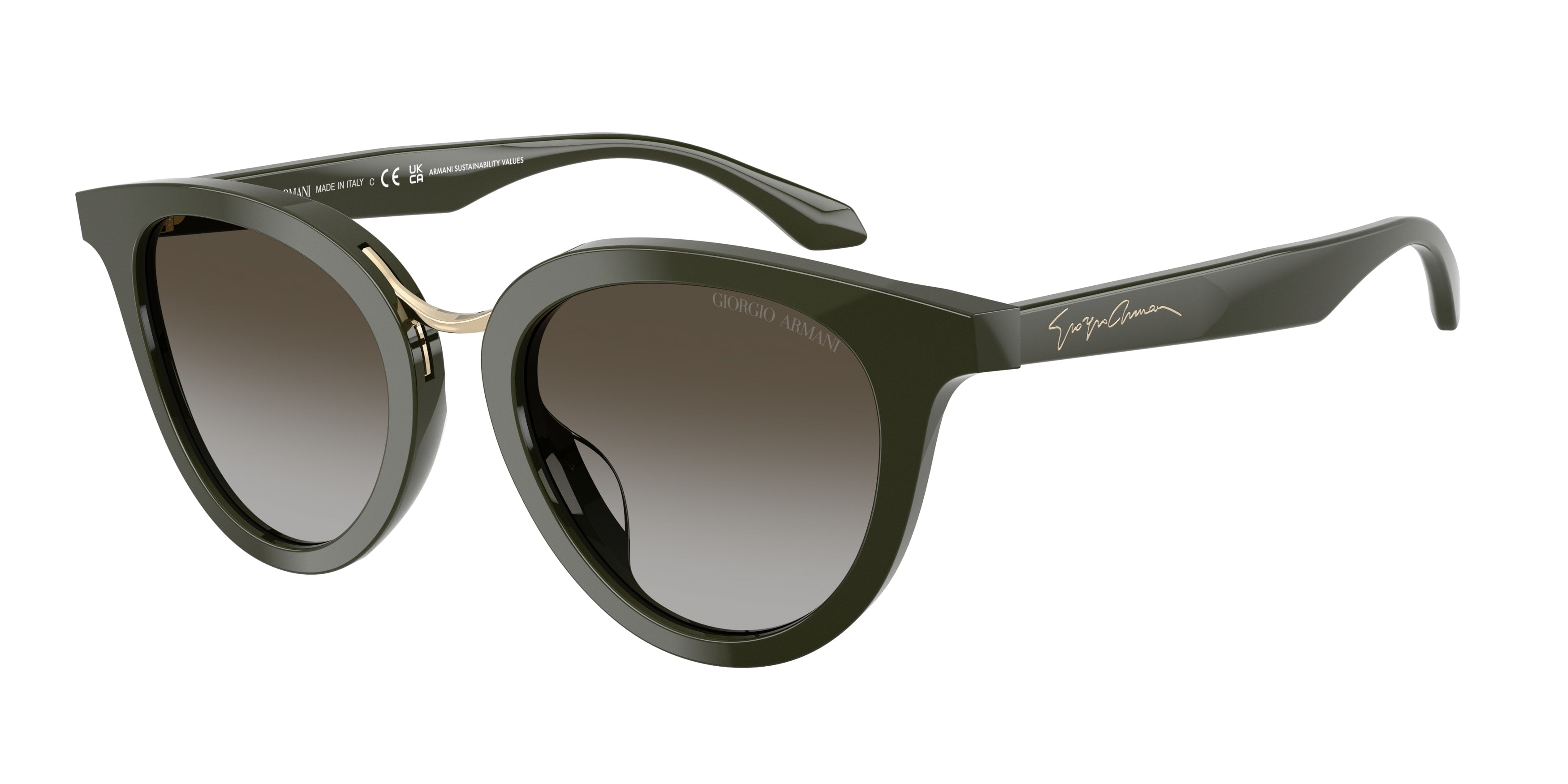 Sunglasses Giorgio Armani AR8252U 640013 8056262845585 Frame color