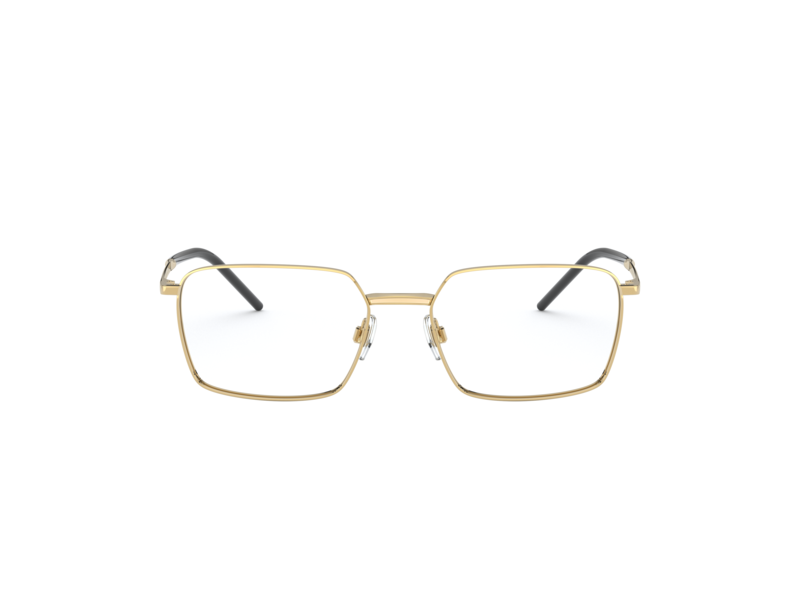 Dolce & Gabbana DG1328 02
