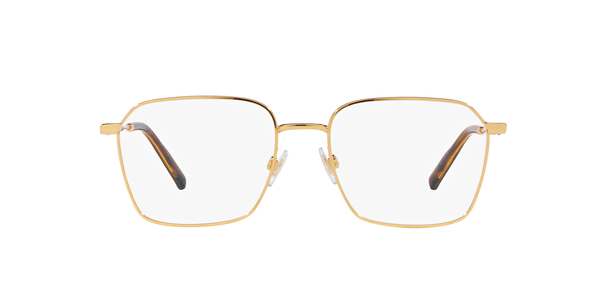 Dolce & Gabbana DG1350 L02