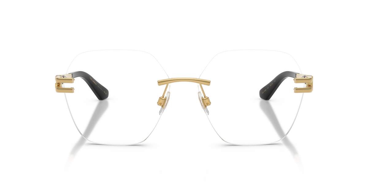 Dolce & Gabbana DG1369 02