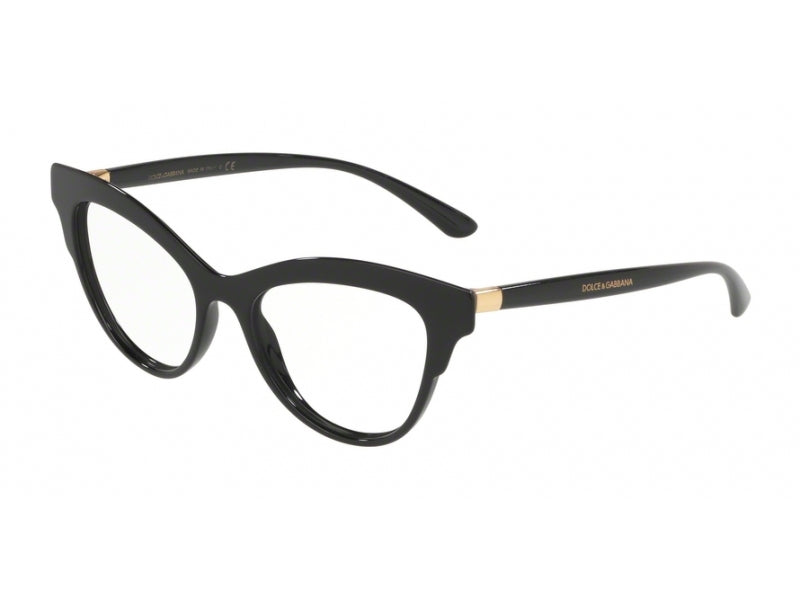 Dolce & Gabbana DG3313 501 BLACK