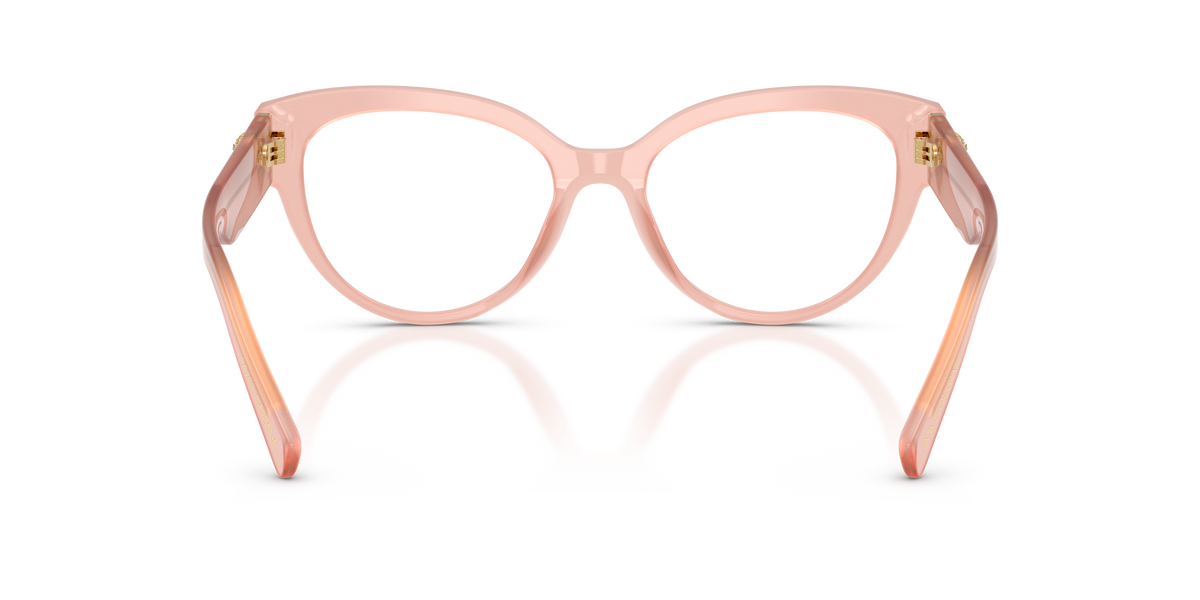 Dolce & Gabbana DG3440 3384
