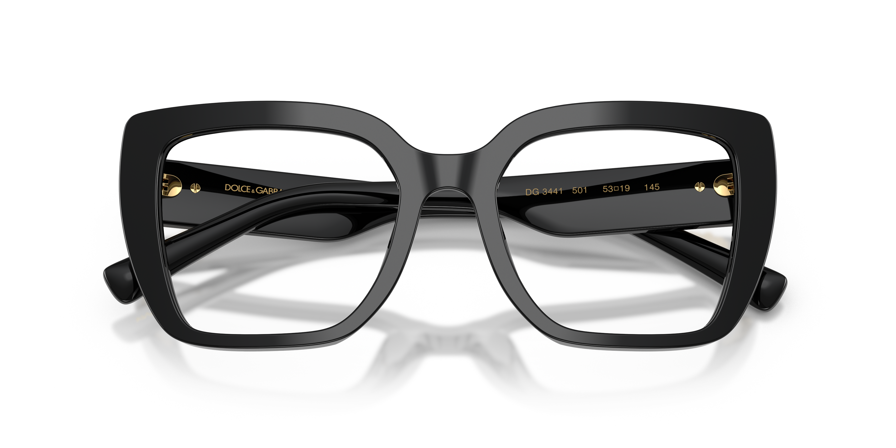 Dolce & Gabbana DG3441 501