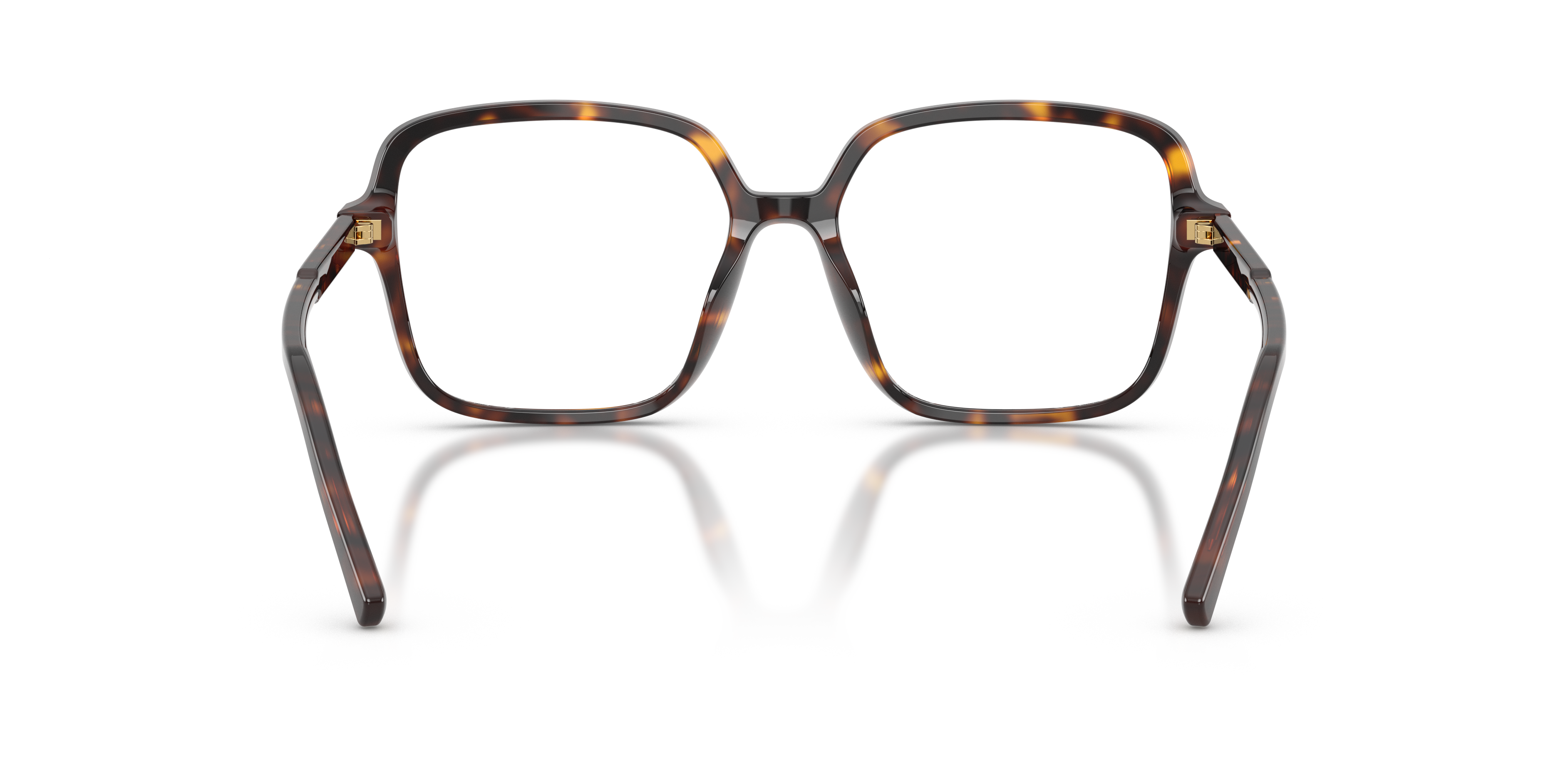 Dolce & Gabbana DG3442 502