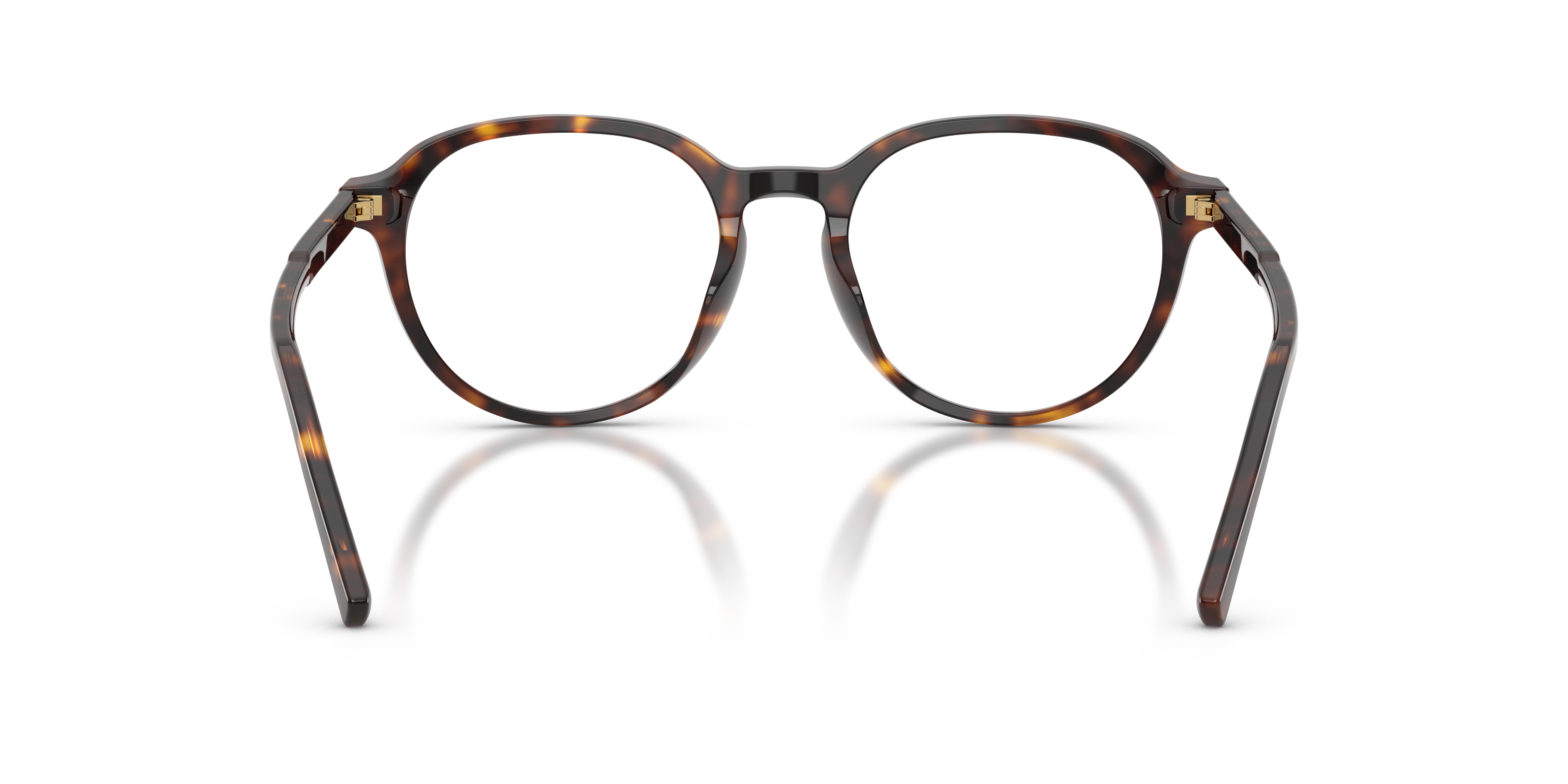 Dolce & Gabbana DG3444 502