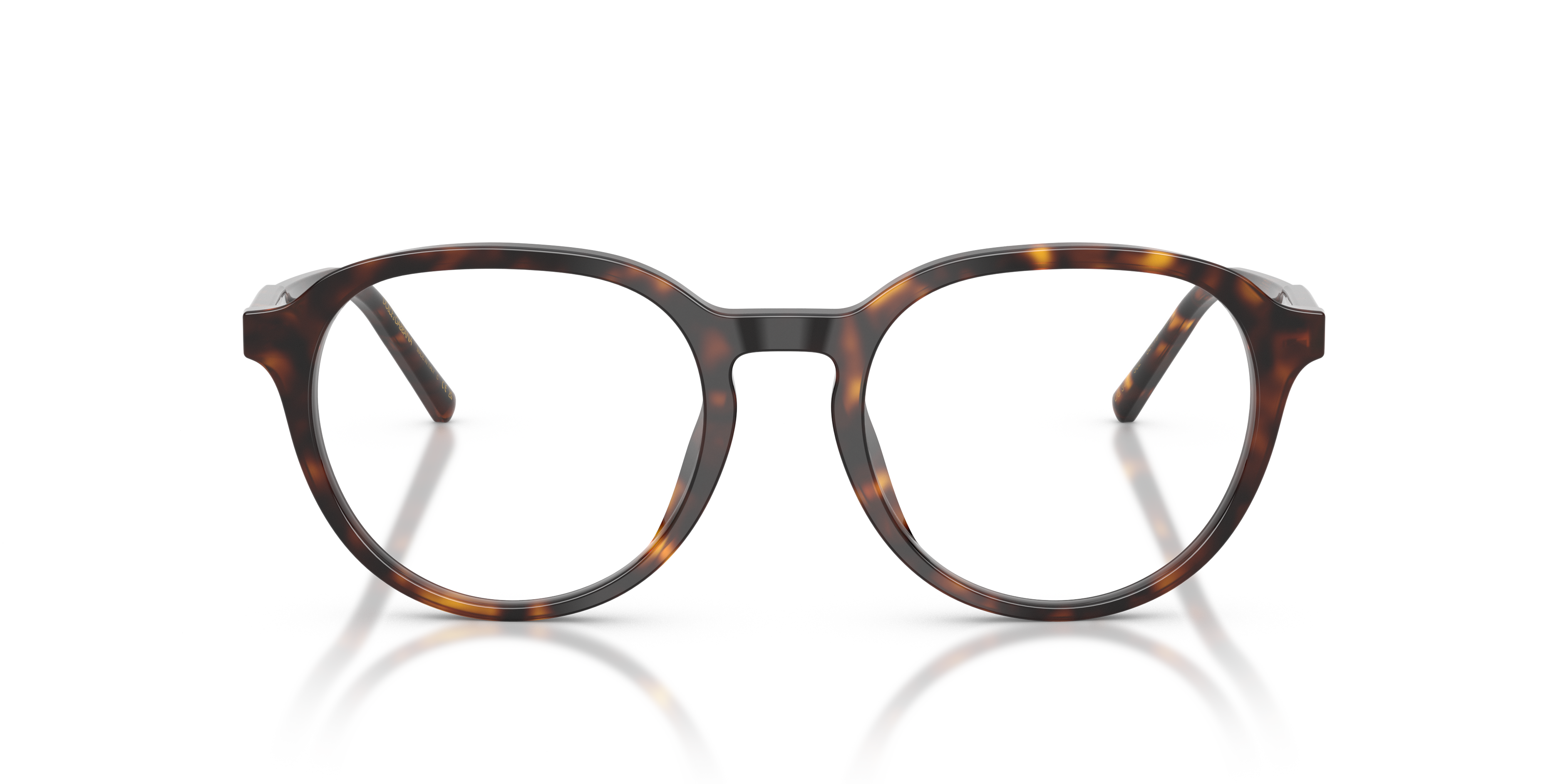 Dolce & Gabbana DG3444 502