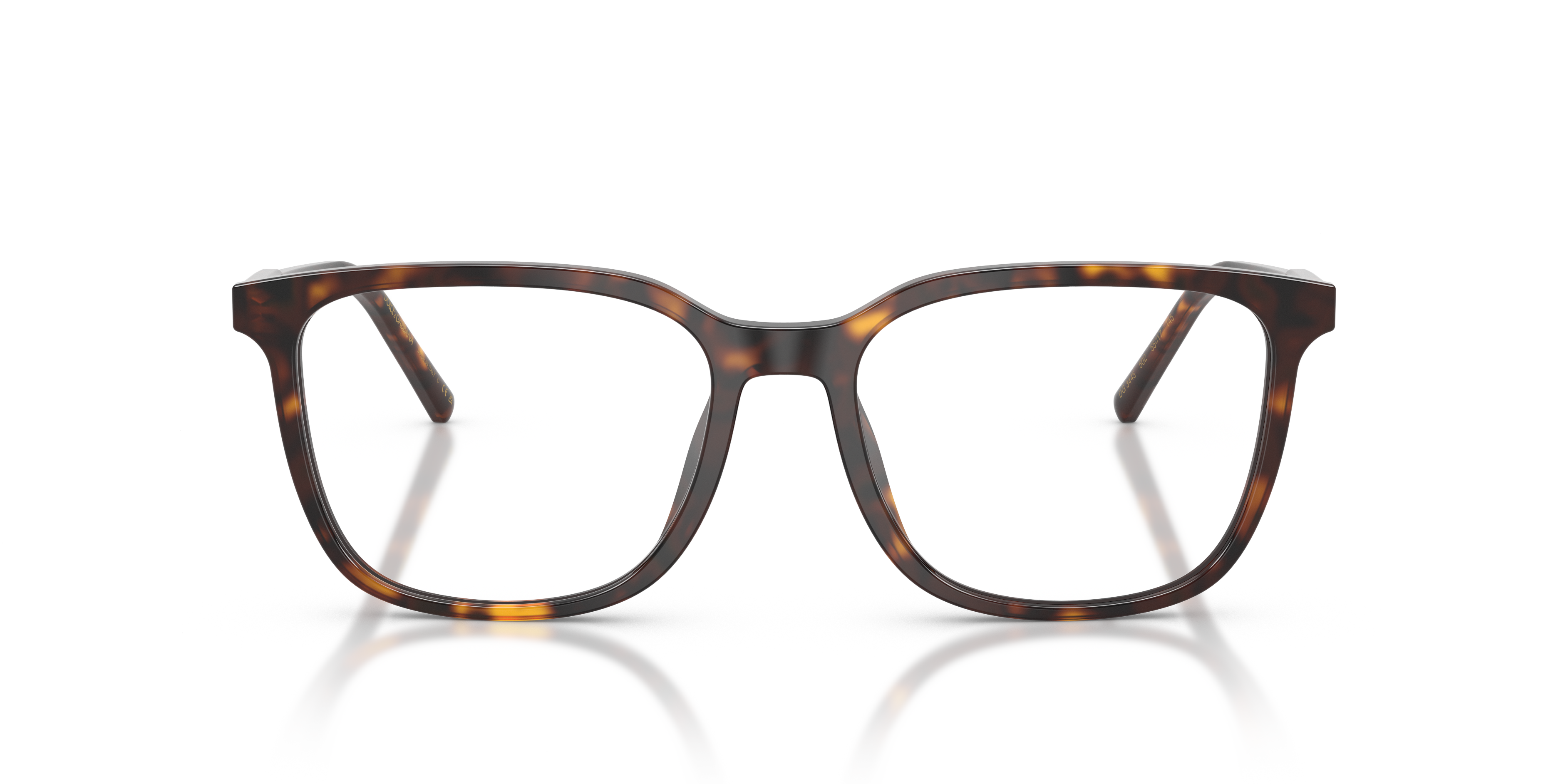 Dolce & Gabbana DG3445 502