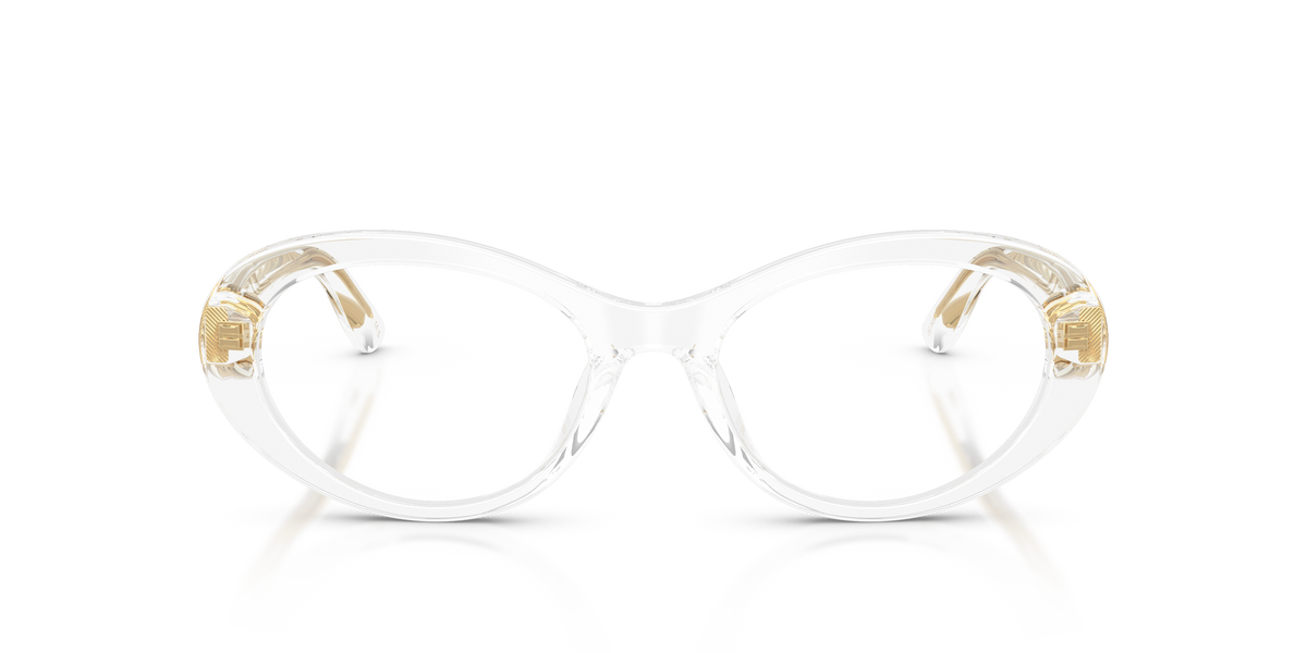 Dolce & Gabbana DG3450 3133