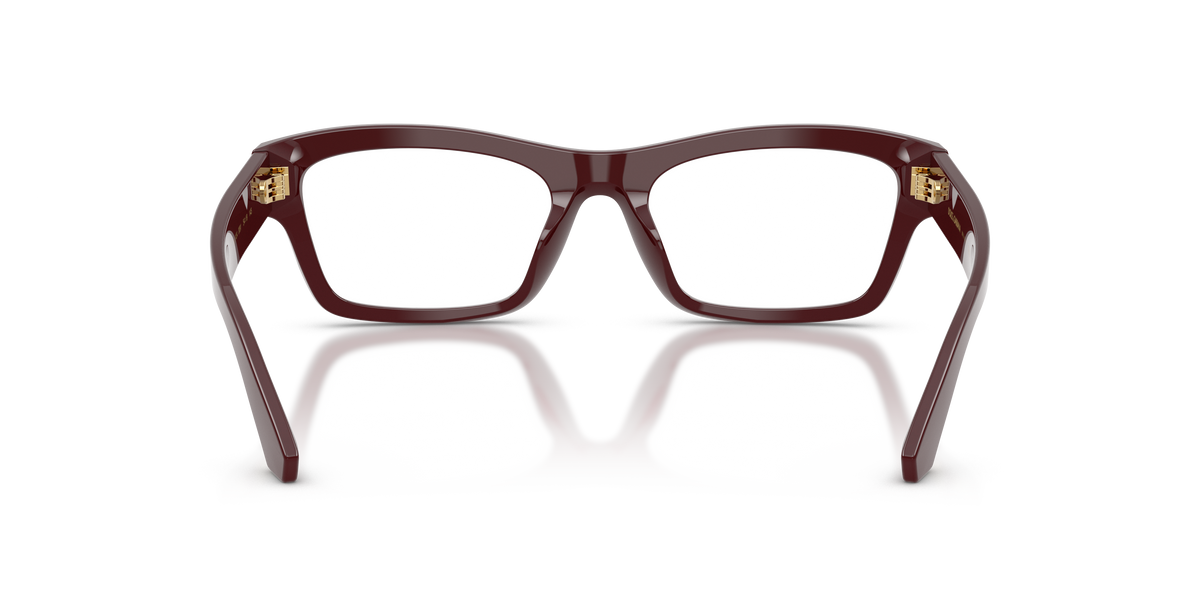 Dolce & Gabbana DG3454 3091