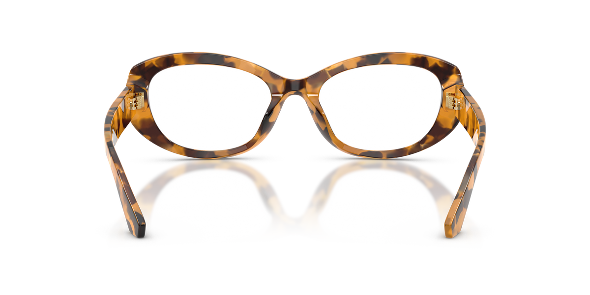 Dolce & Gabbana DG3455 3496
