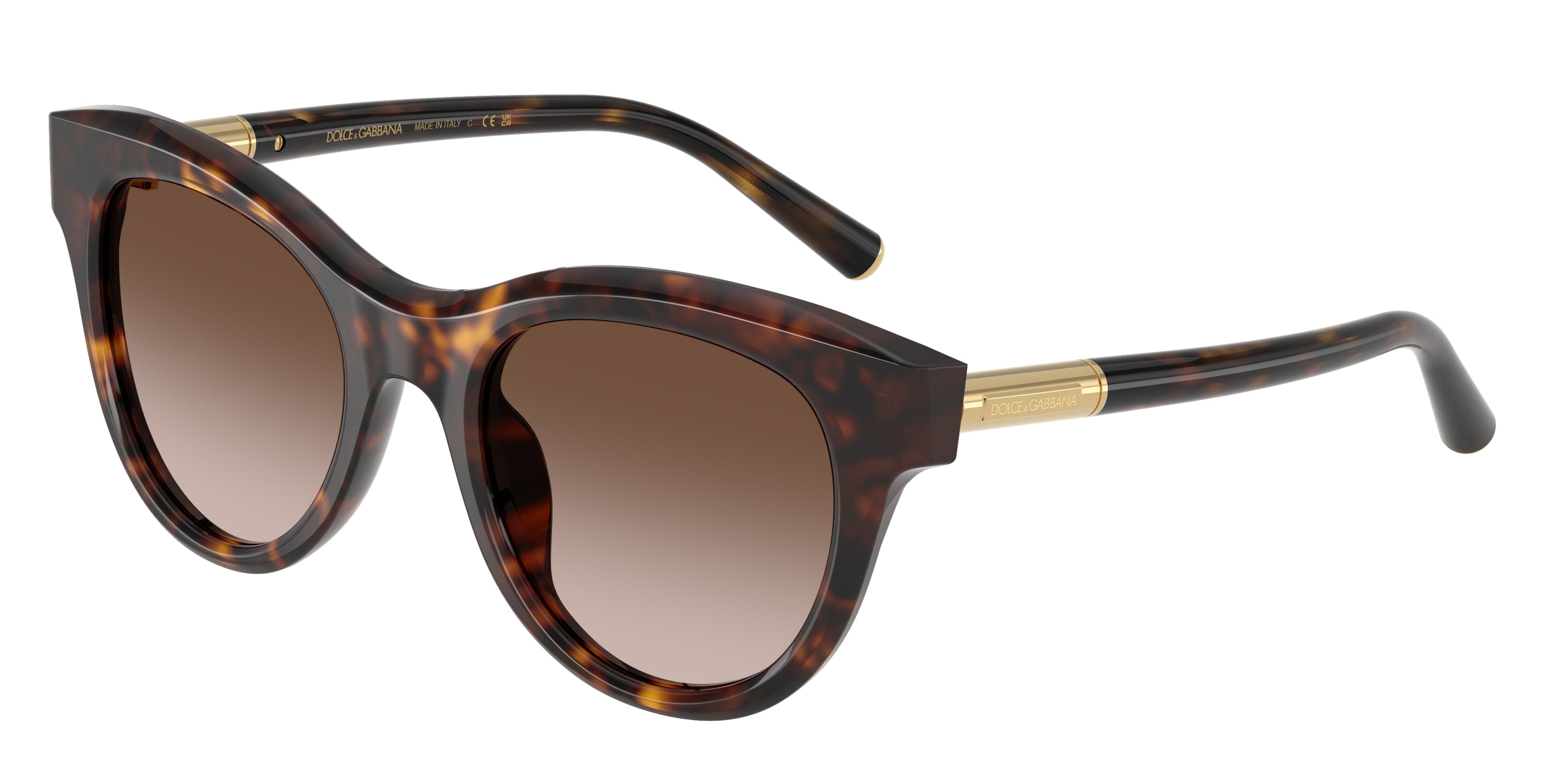 DG4518 502/13 Occhiali da sole Dolce & Gabbana 1