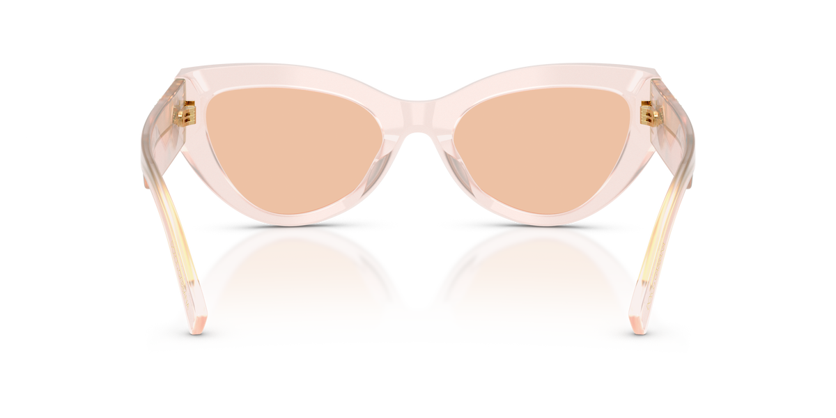 Dolce & Gabbana DG4536 304173