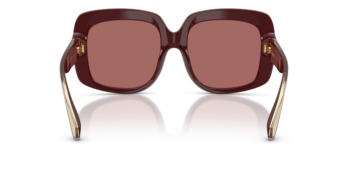 Dolce & Gabbana DG4557 309169
