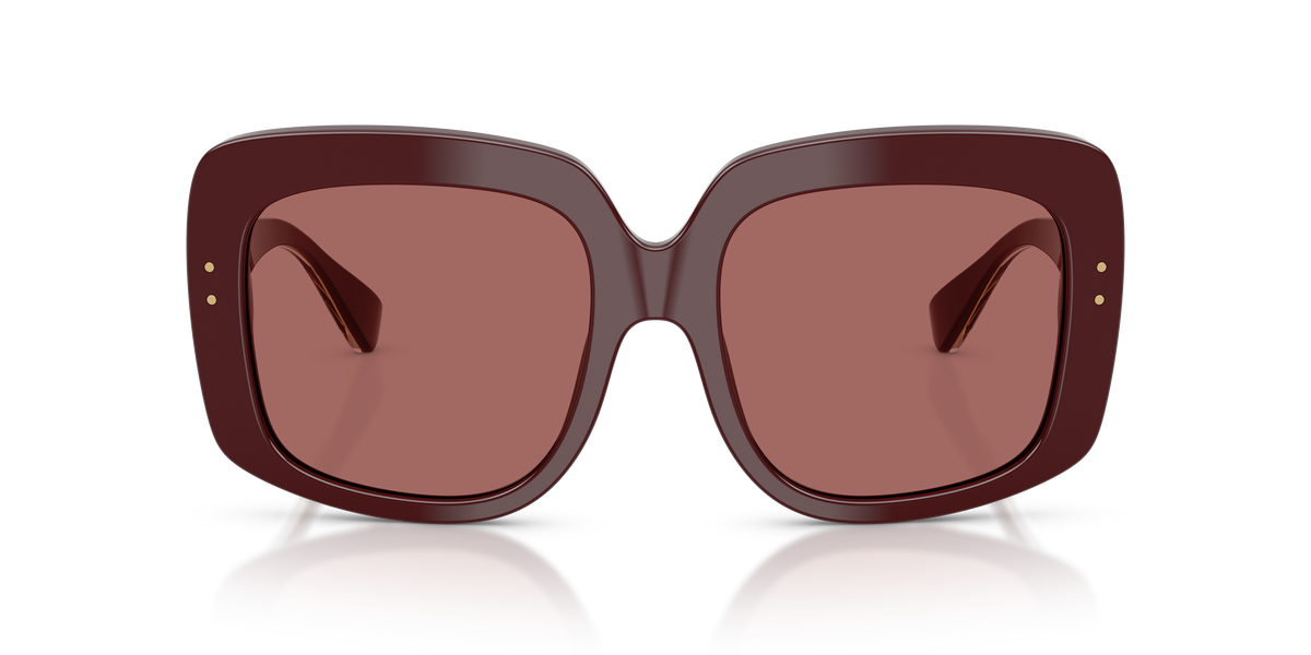 Dolce & Gabbana DG4557 309169