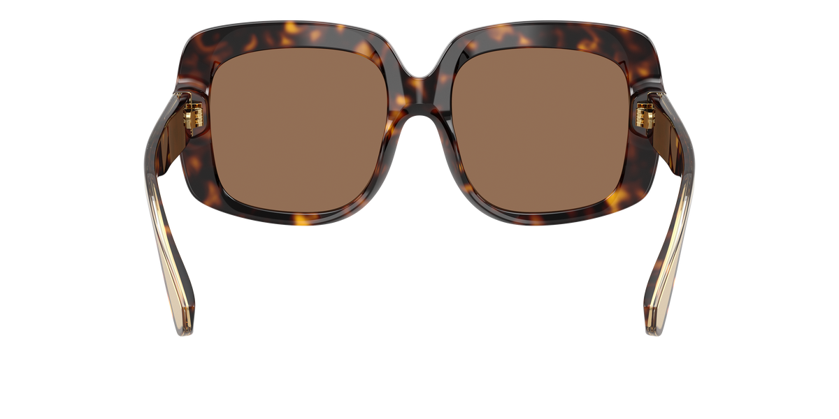 Dolce & Gabbana DG4557 502/73