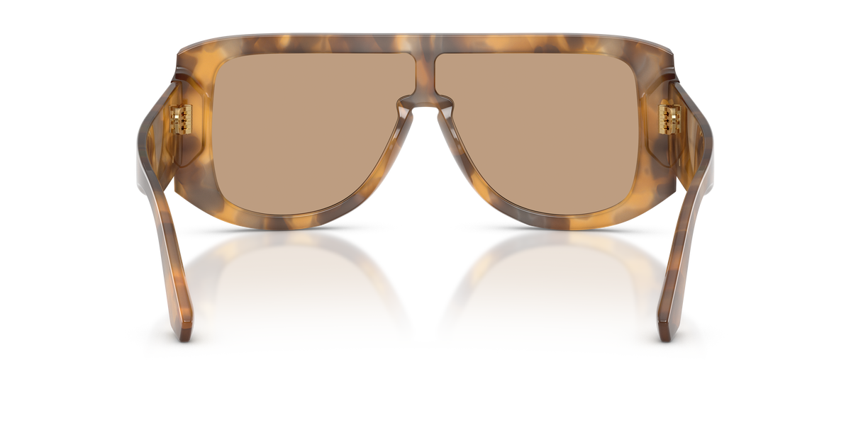 Dolce & Gabbana DG4565 349663