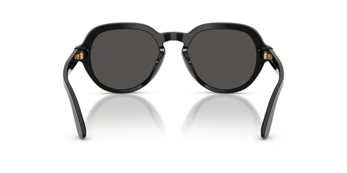 Dolce & Gabbana DG4567 501/87