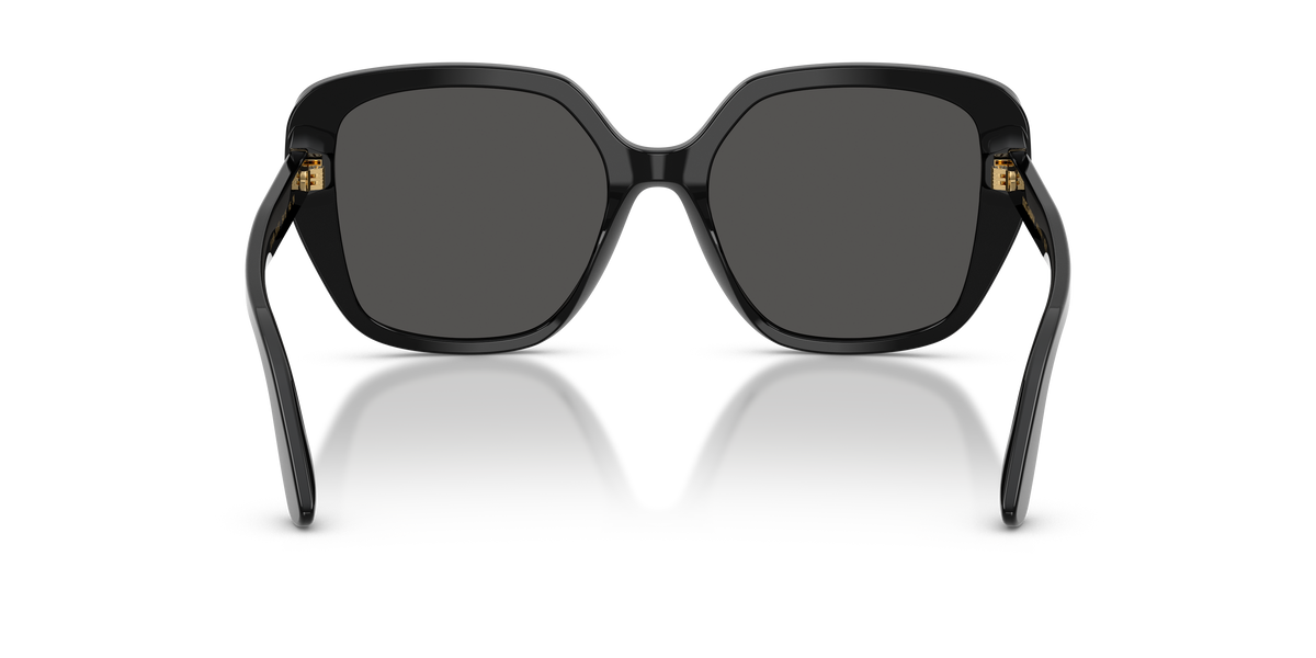 Dolce & Gabbana DG4569 501/87