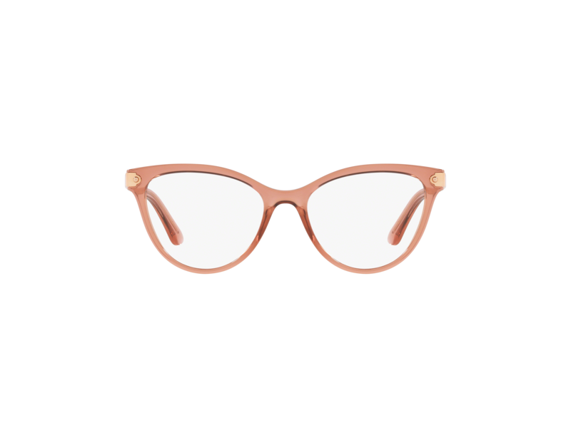Dolce & Gabbana DG5042 3148