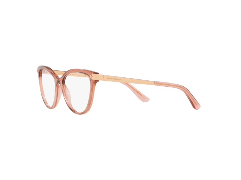 Dolce & Gabbana DG5042 3148