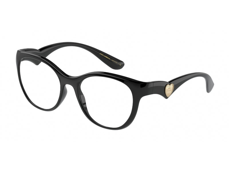 Dolce & Gabbana DG5069 501