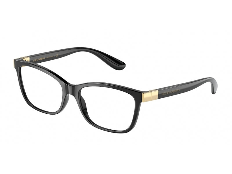 Dolce & Gabbana DG5077 501