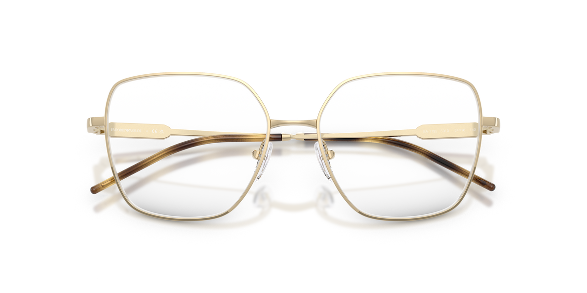 Emporio Armani EA1192 3013