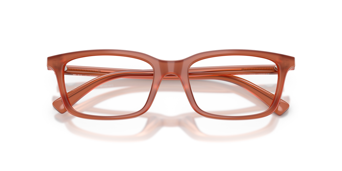 Emporio Armani EA3290U 6455