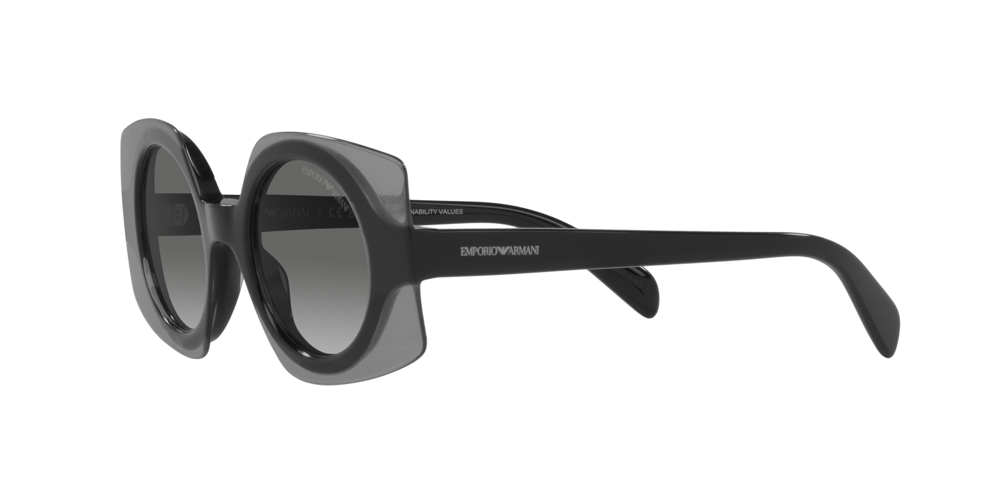 Emporio Armani EA4207 602911