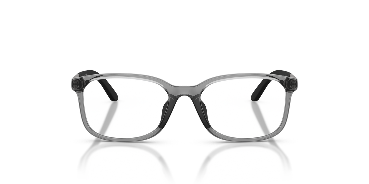 Emporio Armani EK3008U 6491
